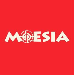 Horario de apertura Moesia, Palencia