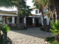 Horario de apertura Alamos Del Pedroso S.l., El Pedroso