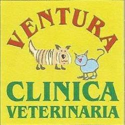 Horario de apertura Clínica Veterinaria Ventura, Ciudad Real