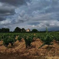 Horario de apertura Masia La Nova Alcudia, Fontanars Dels Alforins