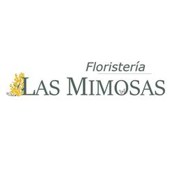 Horario de apertura Las Mimosas Floristería, S.L. (Mª Noelle García García), Valladolid