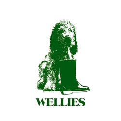 Horario de apertura Wellies, Calvià