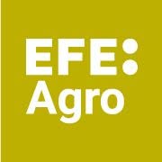 Horario de apertura Efeagro, S.a., Madrid