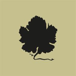Horario de apertura Txakoli de Álava, Amurrio