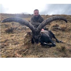 Horario de apertura Iber Hunts S.l., Zaragoza
