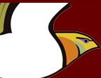 Horario de apertura Spainbirds Nature Tours S.L, Ciudad Real