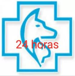 Horario de apertura Clínicas Veterinarias Quirós, Oviedo