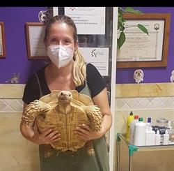 Clinica Alarife en Córdoba (Noroeste) - Horario de apertura