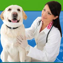 Horario de apertura Clínica Veterinaria Alcobendas, 