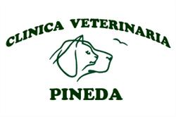 Horario de apertura Clínica Veterinaria Pineda, Castelldefels