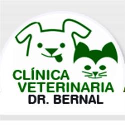Horario de apertura Clínica Veterinaria Bernal, Molina de Segura