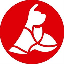 Horario de apertura Clínica Veterinaria Etorbide Durango, 