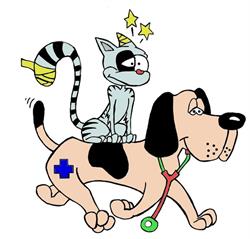Horario de apertura ALFA VETERINARIOS COIN, Coín