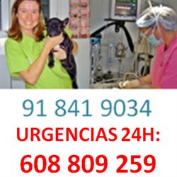 Horario de apertura Centro Veterinario San Agustín, San Agustín de Guadalix