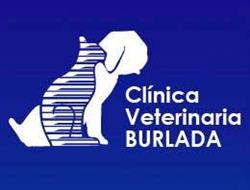 Horario de apertura Clinica Veterinaria Burlada, 