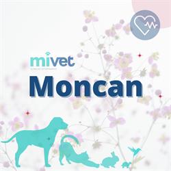 Horario de apertura HOSPITAL VETERINARIO MONCAN S.L., Madrid