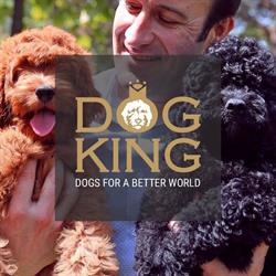 Horario de apertura Dogking, Sant Cugat del Vallès
