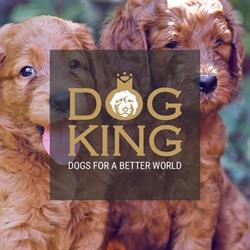 Horario de apertura Dogking, Sant Cugat del Vallès