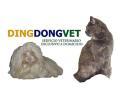 Horario de apertura Dingdongvet Veterinarios a Domicilio en Madrid, 