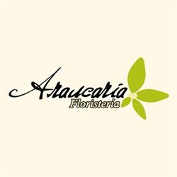 Floristería Araucaria en Málaga (Distrito Centro) - Horario de apertura