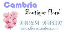 Horario de apertura Cambria Boutique Floral, Madrid
