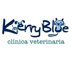 Horario de apertura Clinica Kerry Blue, Oviedo