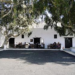 Horario de apertura Bodegas Rubicón, La Geria