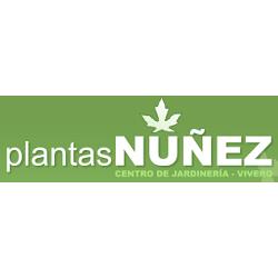 Horario de apertura Plantas Núñez, Villalba de Duero