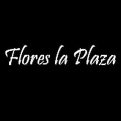 Horario de apertura Flores La Plaza, Mieres