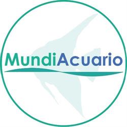MundiAcuario en Málaga (Cruz De Humilladero) - Horario de apertura