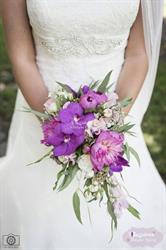 Belladona Diseño Floral en León (Palomera) - Horario de apertura