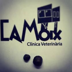 Camoix Clínica Veterinària en Valencia (Malvarrosa) - Horario de apertura