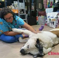 Horario de apertura Clínica Veterinaria Arnican, Lugo