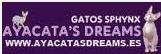 Horario de apertura Ayacata's Dreams, Tejeda