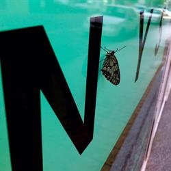 Horario de apertura Clínica Dental Solsona, 