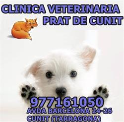 Horario de apertura Clinica Veterinaria Prat de Cunit, 