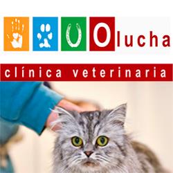 Horario de apertura Clínica Veterinaria Olucha, Onda