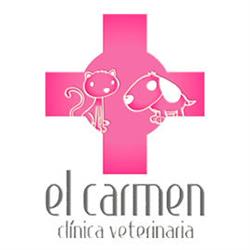 Clínica Veterinaria El Carmen en Valencia (Ciutat Vella) - Horario de apertura