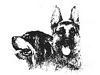 Horario de apertura Residencia canina El Rocater, Girona