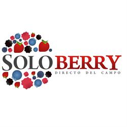 Horario de apertura Soloberry, Moguer