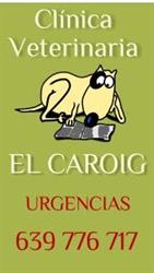 Horario de apertura Clínica Veterinaria El Caroig, Enguera