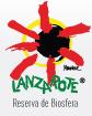 Horario de apertura Turismo Lanzarote, Arrecife