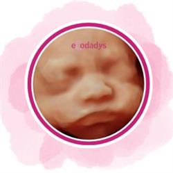 Horario de apertura Ecodadys Santander, 