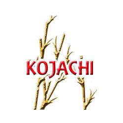 Instituto Kojachi en Madrid (Chamartín) - Horario de apertura