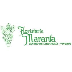 Horario de apertura Floristería Maranta Viveros, Ávila
