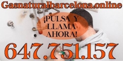 Horario de apertura Gas Natural Barcelona, 