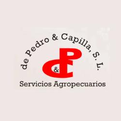 Horario de apertura De Pedro & Capilla, Soria