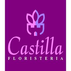 Horario de apertura Castilla Floristería Aranda, Aranda de Duero