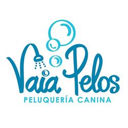 Horario de apertura Vaia Pelos, Padrón