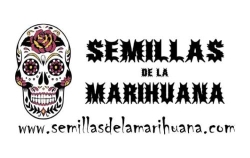 Horario de apertura GROW SHOP PALMERA, Palmera